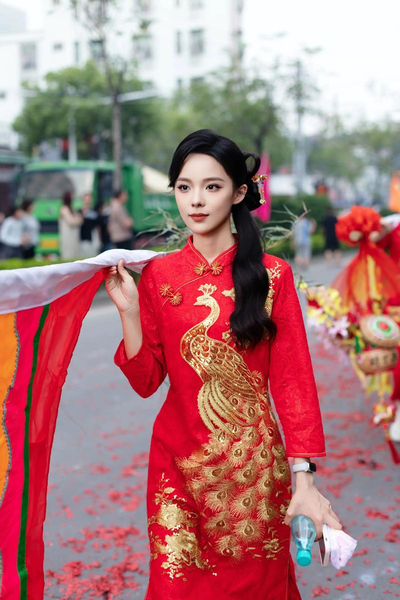 安装步骤示意图